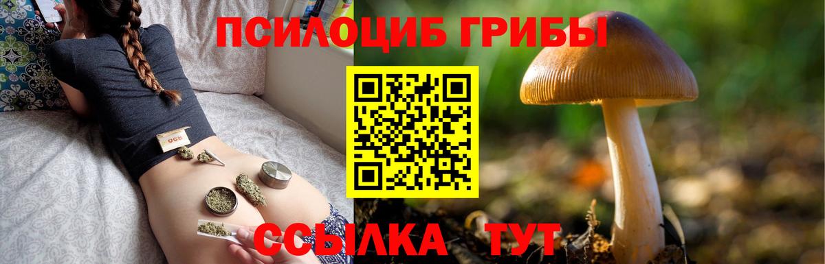 Галлюциногенные грибы MAGIC MUSHROOMS  Вход с VPN  Галлюциногенные грибы Psilocybe  Дальнереченск 